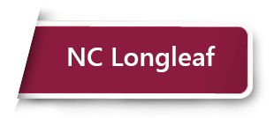 NC Longleaf (Opens New Tab)